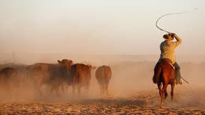 Sir Sidney Kidman Cattle Stations In Outback Australia For Sale Country Photography Outback Australia Country Scenes