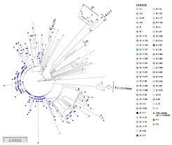 1.global illumination 2.performance settings 3. New Colombian Sars Cov 2 Lineage Shares Antibody Resistant Mutations With Other Variants