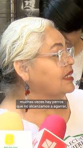 Un aproximado de 50 perros han sido abandonados en la comunidad de Los  Parga, en Aguascalientes. Los animalitos son dejados a la orilla de la  carretera 110.