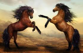 We did not find results for: Biblical Meaning Of Horses In Dreams Interpretation And Meaning