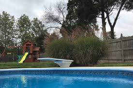 We did not find results for: Seven Tips For Keeping Kids Safe In Swimming Pools Phillyvoice