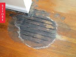 Before After A Risky Carpet Removal Leads To Some Stylish Steampunk Detail Old Wood Floors Refinishing Floors Refinish Wood Floors