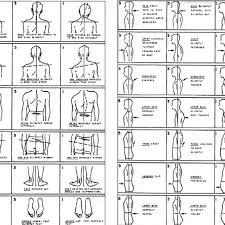 Posterior View Segments From The New York Posture Rating