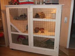 Kaninchenstall Aus Holz Selbst Gebaut Anleitung Perrine 160 Von Xoppla Net Baubericht Von Vanessa Kaninchenkafig Kaninchenstall Selber Bauen Kaninchenstall