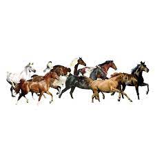 7 White Horse Images Horse Png Horse Clipart Transparent White Horse Images White Horse Horses