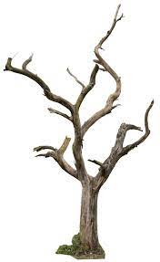 Dead Tree 04 By Gd08 On Deviantart Tree Photoshop Dry Tree Tree Drawing
