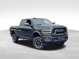 Image result for Power Tan 2020 Ram