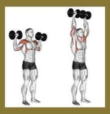 Resultado De Imagen De Standing Dumbbell Shoulder Press Standing Dumbbell Shoulder Exercise Trapsw Traps Workout Shoulder Workout Dumbbell Shoulder Press