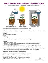 What Plants Need To Grow Investigation Plant Needs Plants Growing