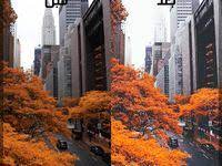 الريشو نسبة القهوة الى الماء لأداة v60 in 2021 coffee to water ratio chemex coffee chemex