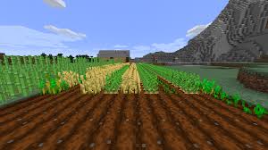 This fungus can be used to build trees in minecraft which described as either crimson or warped trees. Tip If You Plant Crops In Rows They Will Grow Significantly Faster Minecraft