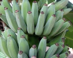 Banana recipes, indian banana recipes. Physical Mental Health Benefits Of Bananas Types Of Bananas
