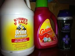 We did not find results for: Getting Cat Pee Out Of Clothing In One Wash Cat Urine Smells Cat Urine Remover Cat Urine