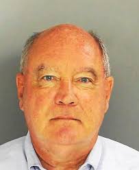 Radnor protesters call for Commissioner Nagle to resign