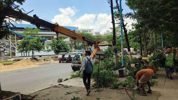 Metro line tree cutting in Hyderabad