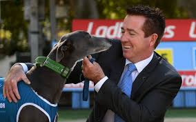 Firstly, it is widely believed that they need copious amounts of exercise when in fact two 20 minute walks a day. Nsw Taxpayers To Bankroll Greyhound Race
