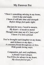 Saint francis of assisi, for sick. Loss Pet Poems