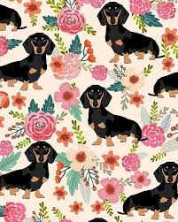 Pin By Braly On Fondos Variados Dog Wallpaper Iphone Iphone Background Art Dachshund Wallpaper #1002517 dachshund wallpaper for pc | full hd pictures.