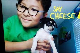 Lost dog found in Mead Valley area