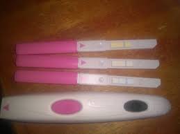 Teste De Ovulacao Clearblue Tentando Engravidar Principal Babycenter