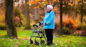 長輩助行器怎麼挑 滾輪式 最適合 https kairos news 63289 autumn park old age walker