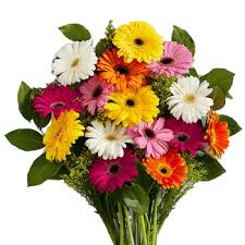 Check spelling or type a new query. 1 Flowers Gifts Shop Online Amman Jordan ÙˆØ±Ø¯ ÙˆÙ‡Ø¯Ø§ÙŠØ§ Ø£ÙˆÙ† Ù„Ø§ÙŠÙ† Ù…ÙŠØ© ÙˆØ±Ø¯Ø©