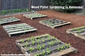 Diy Wood Pallet Garden Spinach Lettuce Celery Strawberries And Boy Choy One Hundred Dollars A Month Pallets Garden Pallet Garden Diy Pallet Garden