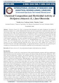 Image result for Dicliptera minor