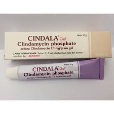 Baik dari harga eceran, grosir hingga diurutkan dari harga termurah. Jual Cindala Gel 10gr Salep Jerawat Anti Acne Apotek Sehati