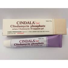 Check spelling or type a new query. Jual Cindala Gel 10gr Salep Jerawat Anti Acne Apotek Sehati