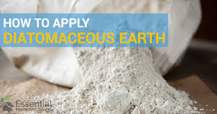 Demodex folliculorum and demodex brevis are two species of eyelash mite present on human eyelashes. How To Apply Diatomaceous Earth Indoors And Outdoors