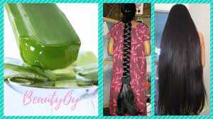 More likely is that aloe vera contributes to healthy hair because it conditions and. How To Use Aloe Vera For Hair Growth Youtube