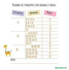 Durante esta semana, con una velocidad de vértigo se desarrollan los sentidos del niño. Cuantos Meses Es 22 Semanas Bebes De Marzo De 2015 Babycenter
