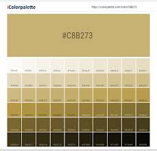 The beauty gold gradient color scheme palette has 5 colors which are university of california gold (#b78628), lemon curry (#c69320), goldenrod (#dba514), american yellow (#eeb609) and golden poppy (#fcc201). Hex Color Code C8b273 Pantone 16 0836 Tcx Rich Gold Color Information Hsl Rgb Pantone