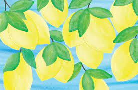 Maybe you would like to learn more about one of these? Buy Lucy Grymes Decorative Paper Placemats 10 Patterns Available Party Placemats For Events Birthdays Showers Pack Of 24 Disposable Placemats Recyclable Lemon Online At Low Prices In India Amazon In