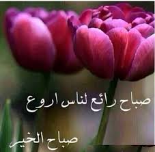 صباح جميل برائحة الورد Morning Wish Good Morning Rose