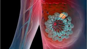 Image result for Prolactin