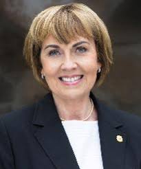 THE INTERNATIONAL ASSOCIATION OF LIONS CLUBS DISTRICT N-1 2018-2019 L  ASSOCIATION LUBS N-1 19