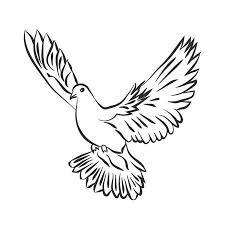 Well look no further than this educational resource on how to learn to draw a dove. 13 454 Drawing Dove Stock Photos And Images 123rf