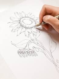 Realistic colored pencil tutorial,color pencil tutorial for beginners, realistic color pencil shading tutorial of rose,color pencil drawing tutorial step by step,rose drawing tutorial,flowers drawing tutorial,drawing roses tutorial,drawing roses step by step,drawing realistic roses Flower Drawing Challenge Blushed Design
