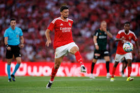 benfica Picture