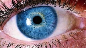 Boabele de ricin (ricinus communis) nu sunt comestibile, însă oamenii au descoperit că uleiul obţinut din aceste boabe are efecte miraculoase. Blefarita Cauze Simptome Tratament Sfaturimedicale Ro