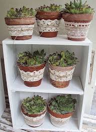Csipke Viragcserep Mit Bildern Diy Gartenbau Bepflanzung Garten