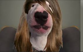 Walter surface technologies provides abrasives, power tools, tooling, welds cleaning, chemical tools & environmental solutions for the metal working industry since 1952. Women Walter Dog Memes Walter Dogs