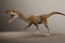 Showing a predator, prey relationship between the two dinosaurs. News Page 2 Prehistoric Fury