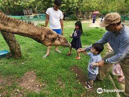 The cities administration is run by the port dickson municipal council. Pd Ostrich Show Farm Travel Guidebook Must Visit Attractions In Pd Ostrich Show Farm Nearby Recommendation Trip Com