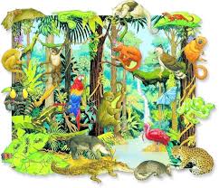 The Rain Forest By Marina Rainforest Animals Rainforest Theme Rainforest