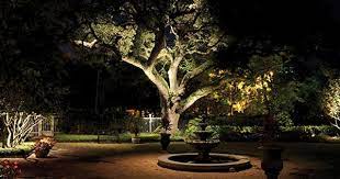 Uplit Oak Tree Google Search Landscape Lighting Design Landscape Lighting Landscape