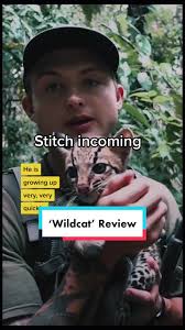 Brian Plumley Wild Cat