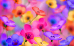 Pin On Flowers